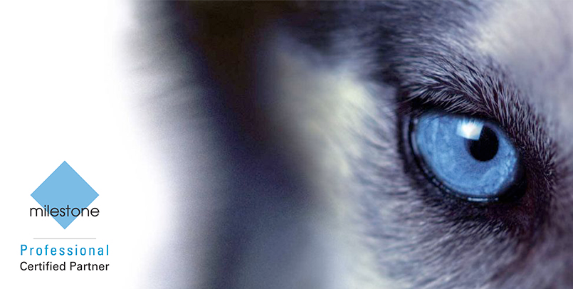 informatica-del-este-gestor-de-video