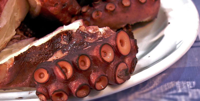 caralin-group-pulpo1