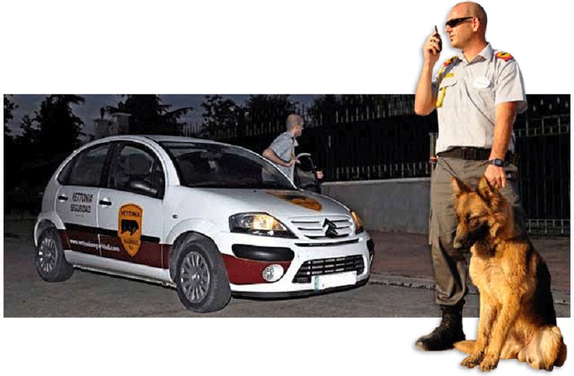 vettonia seguridad patrulla