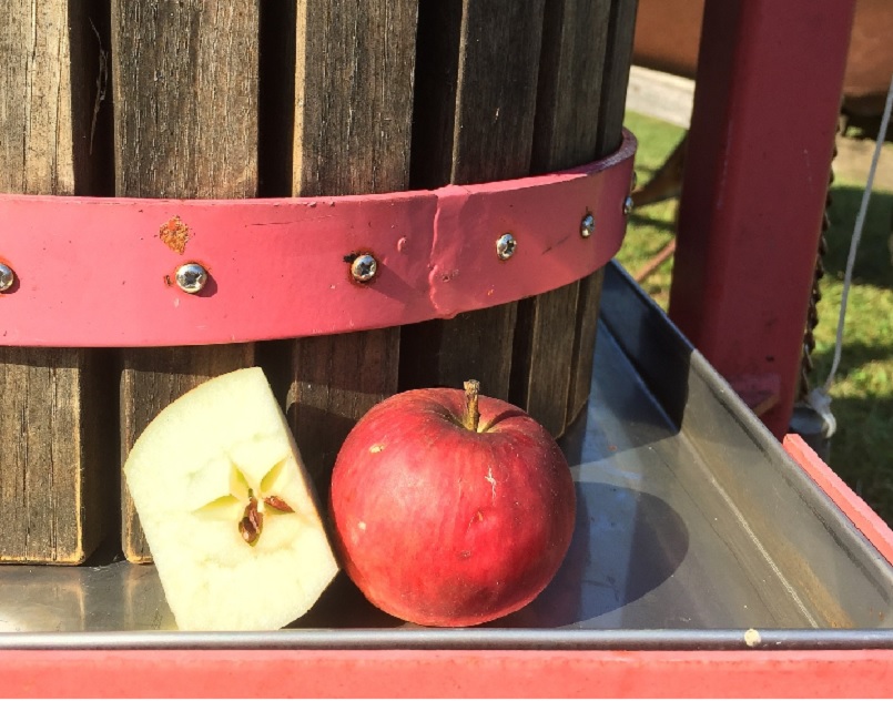 la xtixtarreria txotz